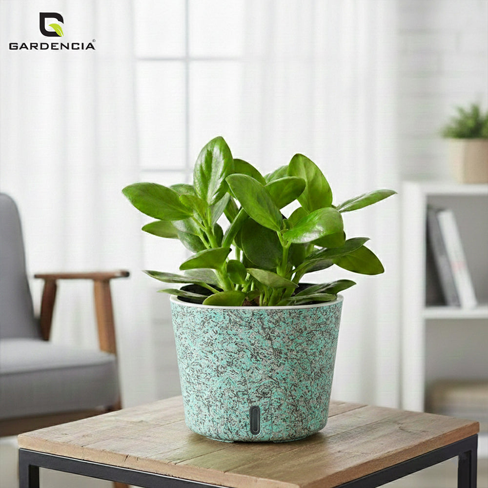 Cube Painted Self Watering Pot