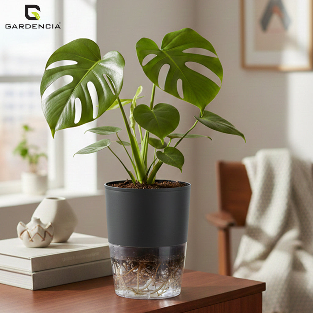 Gardencia Lobello 4/6/8 Inch Self Watering Plastic Flower Pot Cotton Rope Watering Small Plant Pot - Indoor Planters for Home Decor, Living Room, Kitchen, Bedroom, Office Desk, Gifting - Plants Not Included
