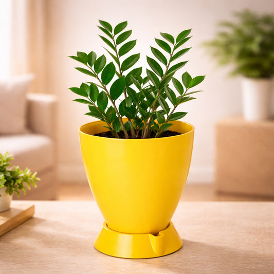 GARDENCIA Convex 8"/10"/12" with Smart Tray Self Watering Plant Pot | Large Plastic Planter with Drainage | UV Protected Polypropylene Flower Pot for Indoor Outdoor Garden