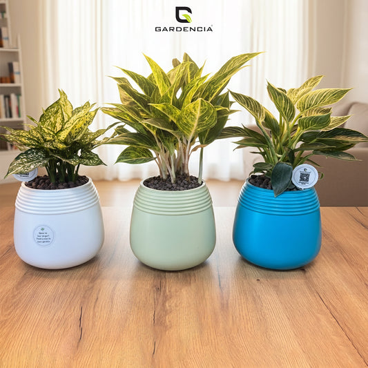 GARDENCIA Balloon Self Watering Planter Pot | Polypropylene with UV & HDPE | Matte & Glossy Finish | Indoor & Outdoor Flower Pot for Home & Garden