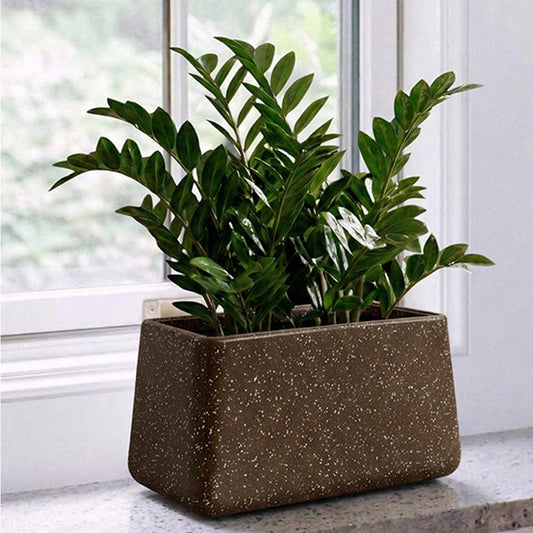 Roto Tiny 06 Self Watering Pot