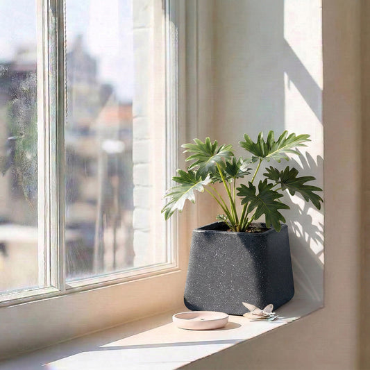 Roto Tiny 05 Self Watering Pot