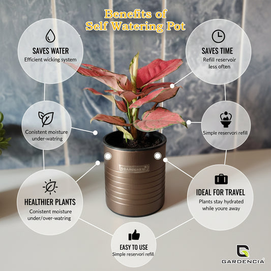 GARDENCIA Metal Pot 4" Modern Flower Pot Indoor Plants, Round Plant Pots, Succulent Pot, Planters for Home Decoration/Home Balcony Flower Pot, Table Top Pot, for Office Decoration, Restaurant, Cafe