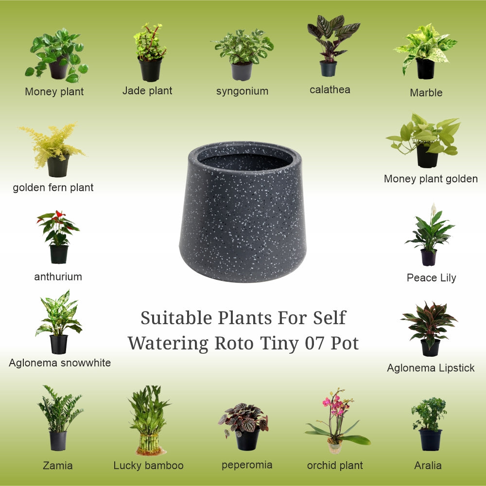 GARDENCIA Roto Tiny 07 Self Watering Round Pot 6"
