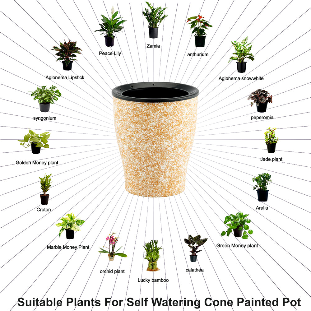 GARDENCIA Cone Painted Self Watering Planter 6"