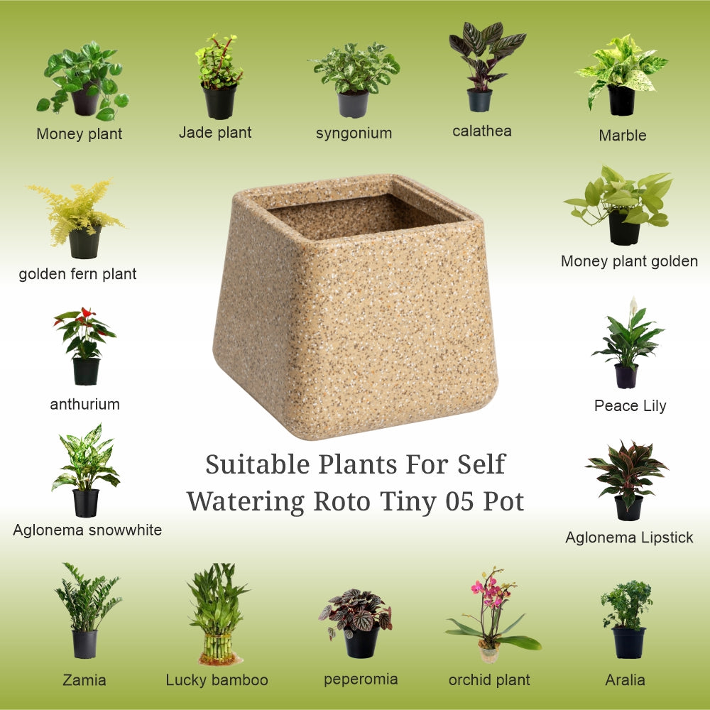 GARDENCIA Roto Tiny 05 Self Watering Square Planter Pot 6"
