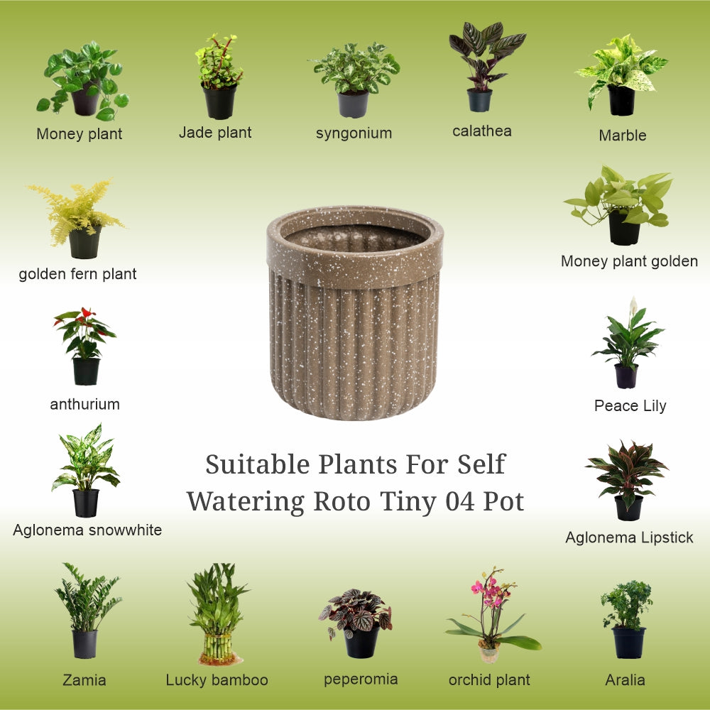 GARDENCIA Roto Tiny 04 Round Self Watering Planter Pot 6"