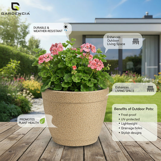Roto Candy Pots for Indoor & Outdoor Gardening