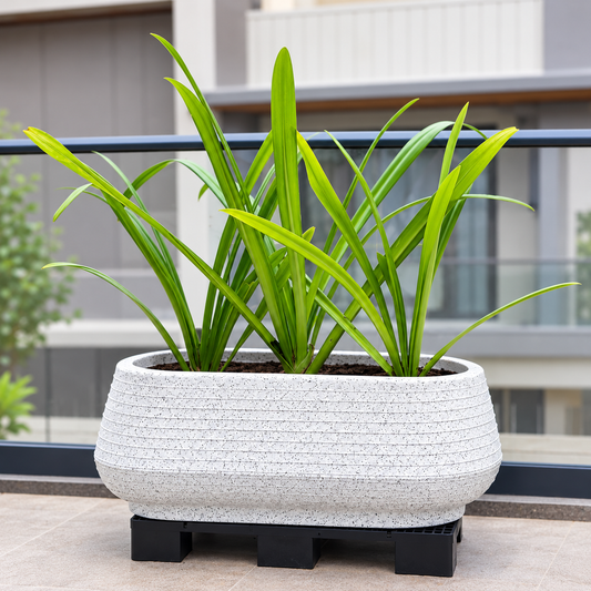 Roto Remo tray