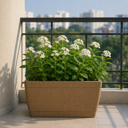Gardencia Roto Dove Canon Rectangle Pots for Plants Highly Durable Polymers Lightweight Indoor Outdoor Flower Pot Gamla Tree Planter Container Planters for Living Room, Balcony Garden