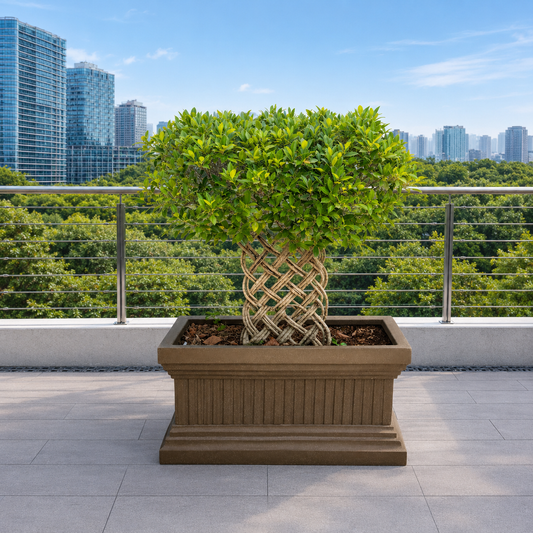Gardencia Roto Vintage 02 Self Watering Rectangle Pots for Plants Highly Durable Polymers Lightweight Indoor Outdoor Flower Pot Tree Planter Container Planters for Living Balcony Garden, Terrace Garden