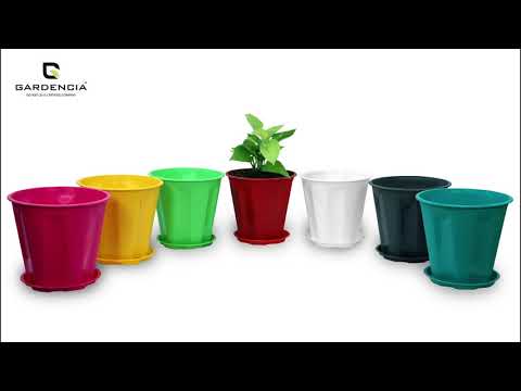 N Pot with Tray