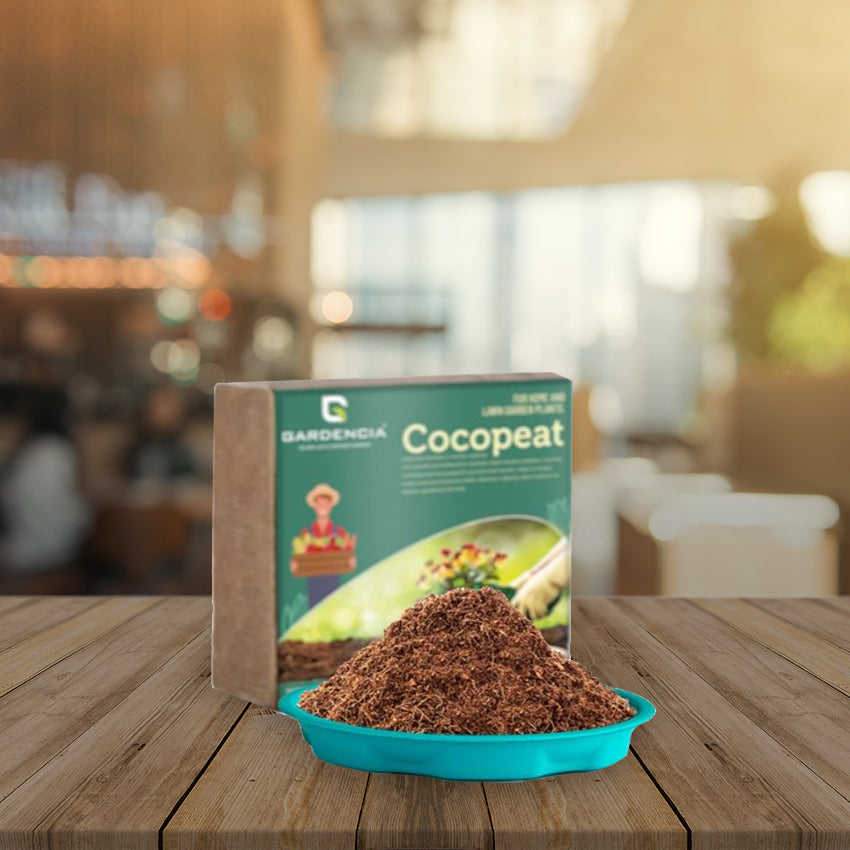 Coco Peat 1Kg Block