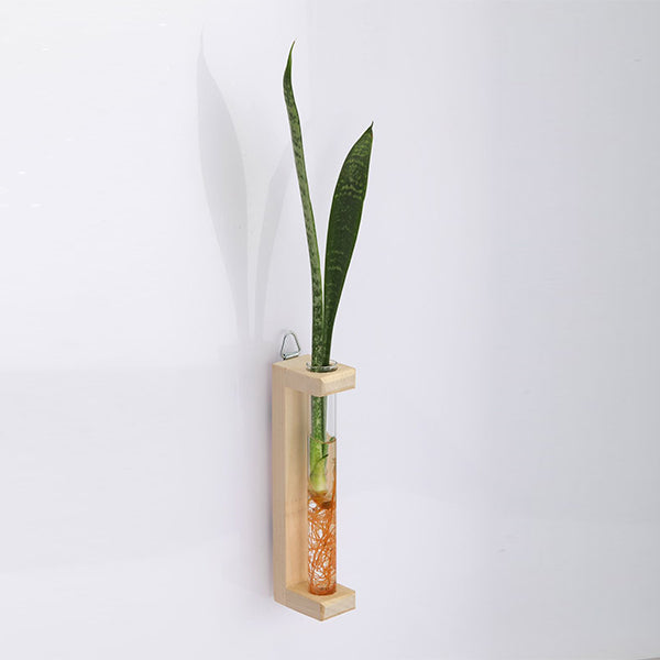 Test Tube Planter