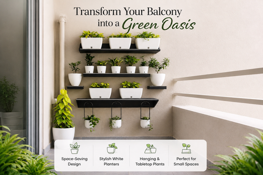 Transform Your Balcony into a Green Oasis
