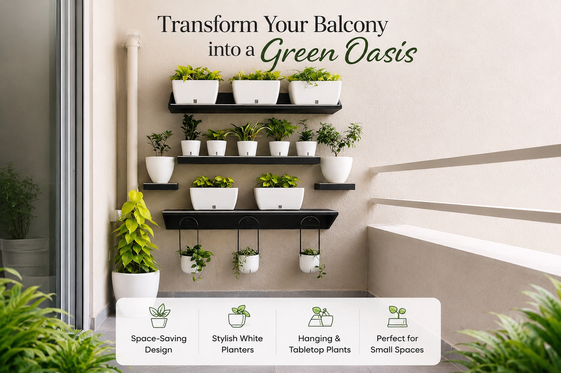 Transform Your Balcony into a Green Oasis
