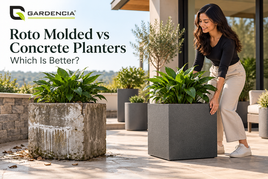 Roto molded planter compared with a chipped and stained concrete planter on a patio