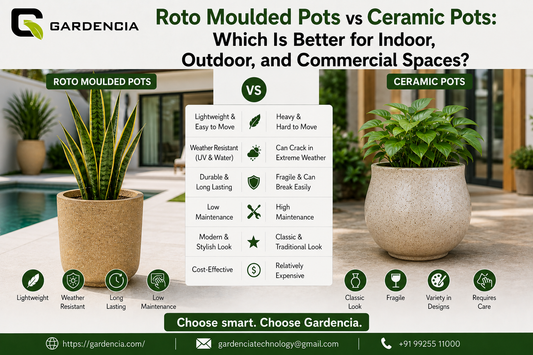 Roto Moulded Pots vs Ceramic Pots