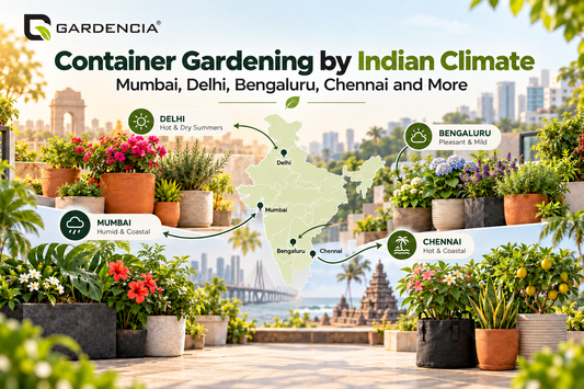 Balcony container garden adapted to Indian city weather with roto moulded planters