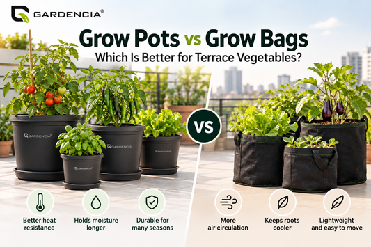 Vegetable plants growing in rigid grow pots beside fabric grow bags on an Indian terrace