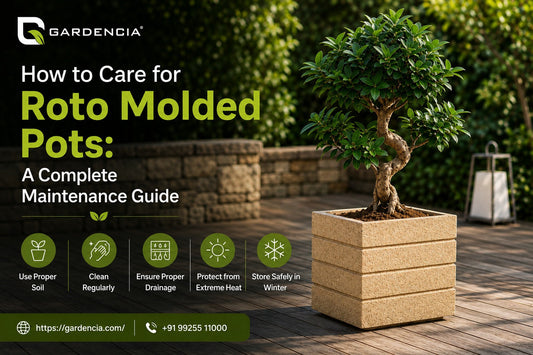 How to Care for Roto Molded Pots: A Complete Maintenance Guide