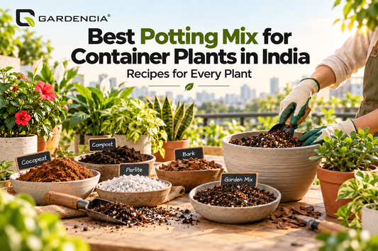 Hands mixing garden soil, cocopeat and compost for potting plants in containers