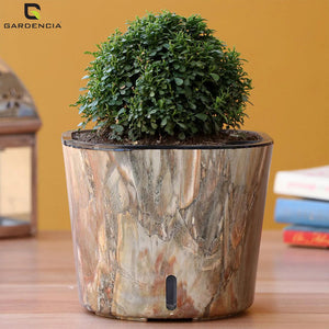 Premium Indoor and Outdoor Pots