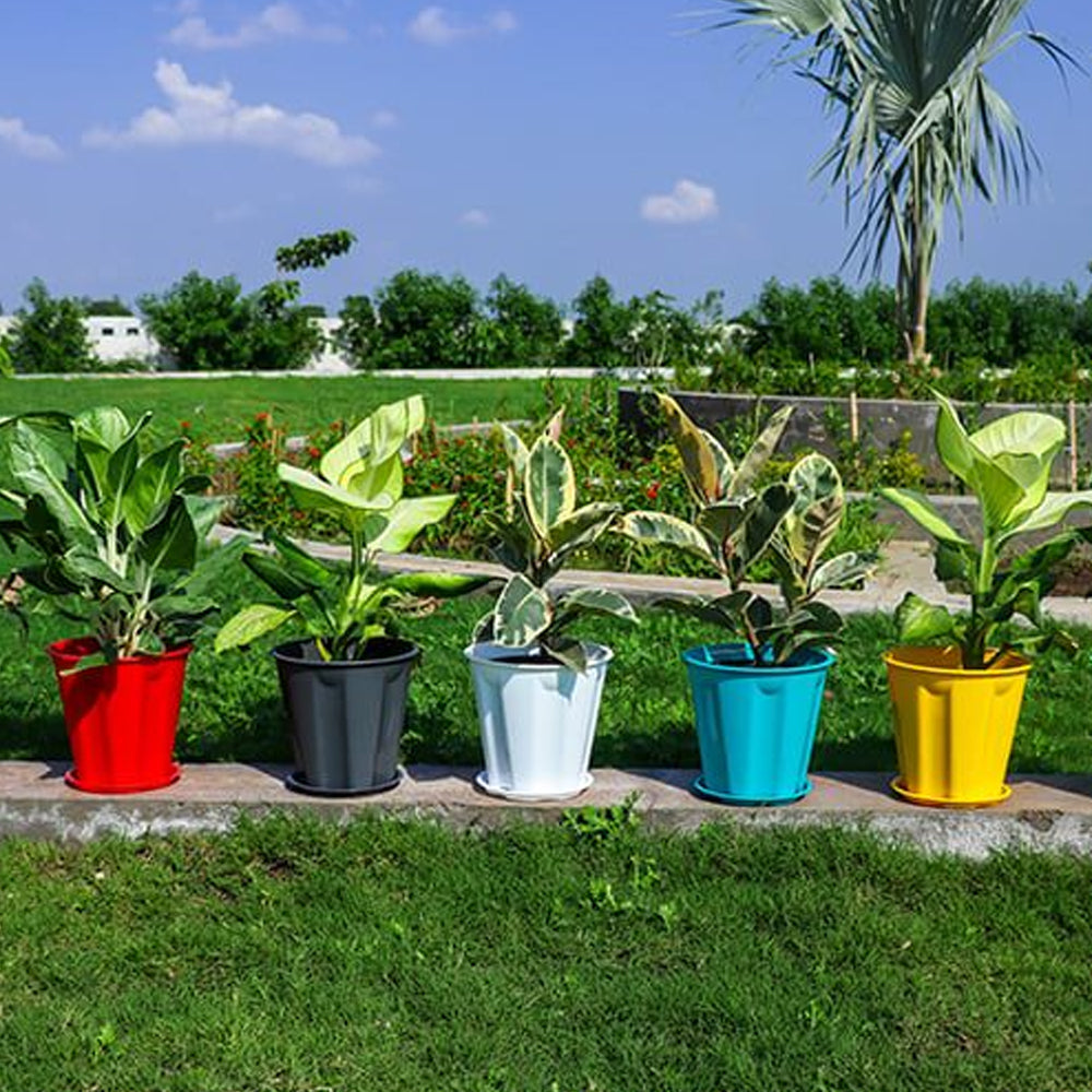Premium Indoor and Outdoor Pots