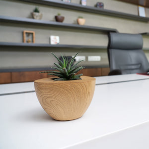 Aqua Wooden Planters