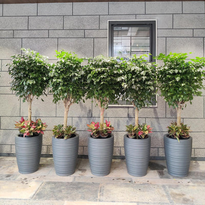 Shop by Shape, Size & Uses