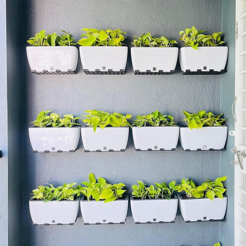 Wall Hanging & Vertical Gardening