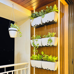 Wall Hanging & Vertical Gardening