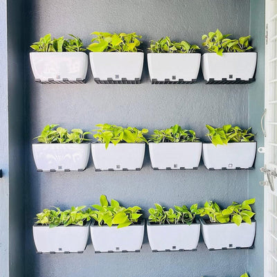 Wall Hanging & Vertical Gardening