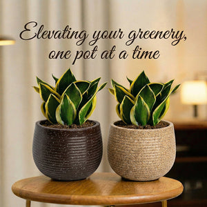 Round Shape Planters