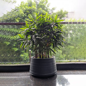 Balcony Garden Planters