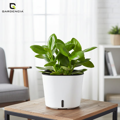 Gardencia Cube 6/12" Self Watering Square Pot