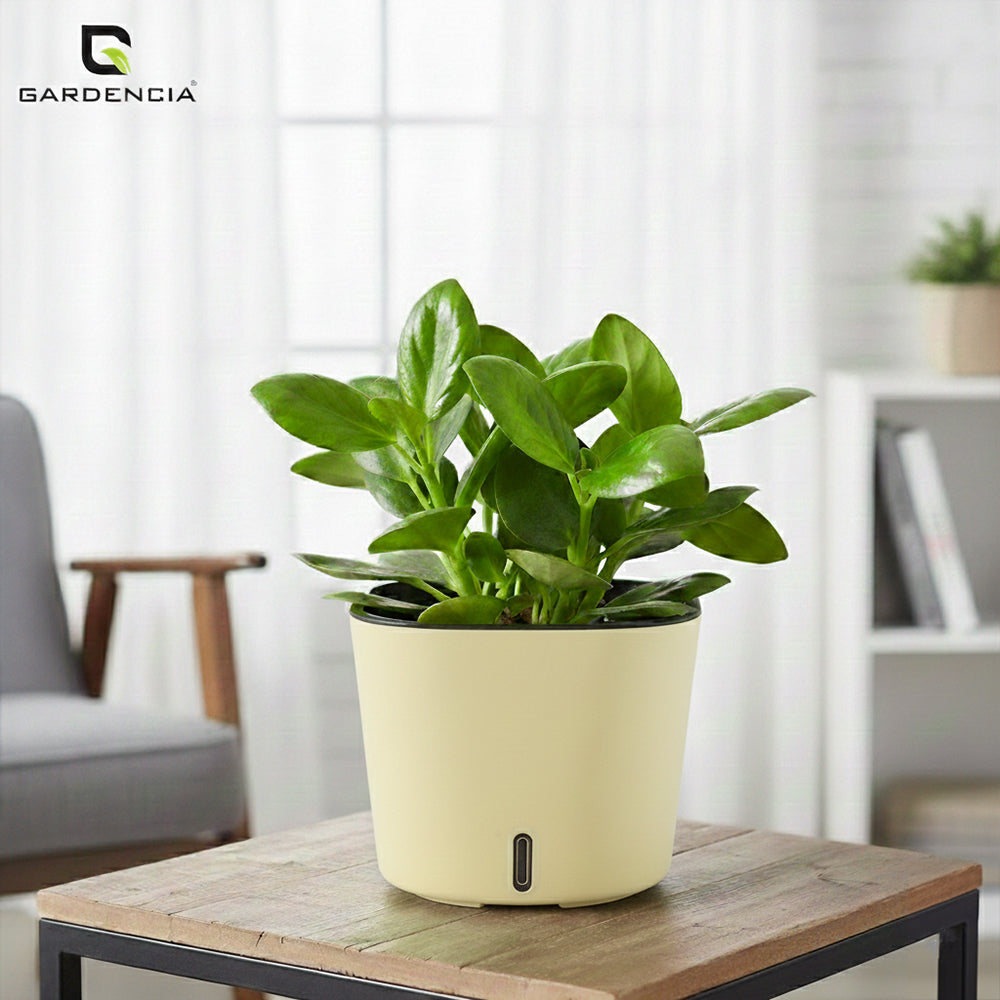 Gardencia Cube 6/12" Self Watering Square Pot