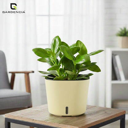 Gardencia Cube 6/12" Self Watering Square Pot