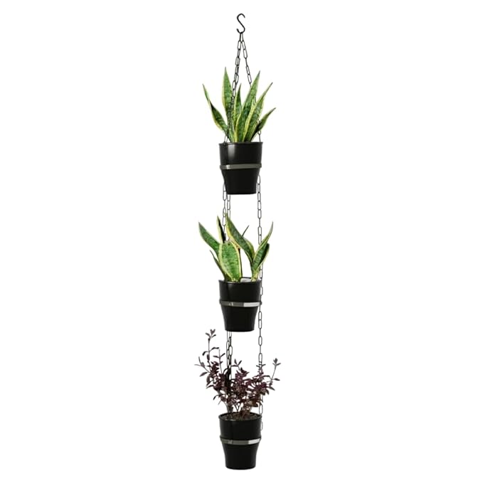 GARDENCIA Cone Self Watering Pot 6 Inch with Hanging Chain Modern Hanging Planter for Indoor & Outdoor Plants, Durable Plastic Pot Ideal for Balcony, Home & Office Decor