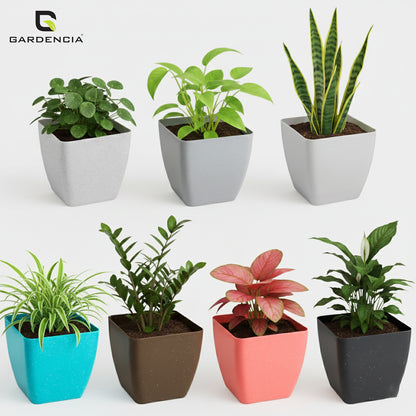 GARDENCIA Self Watering Flower Pot Lizza with Inner Tray, Plastic Planter, Lightweight, 15x15x18 cm, Pack of 7