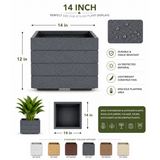 GARDENCIA ROTO SQUARE Pot – Square Planter with Dot Finish Colour