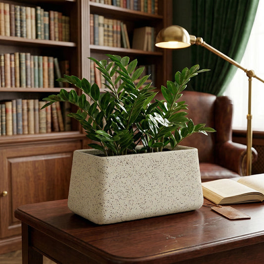 Roto Tiny 06 Self Watering Pot
