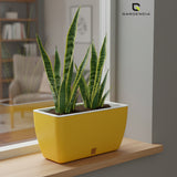 GARDENCIA Recta Self Watering Rectangle 100% Virgin Plastic Pots for Plants | Modern Design | Indoor and Outdoor Flower Pot for Home/Office/Table/Garden/Balcony Decoration | 14 inch