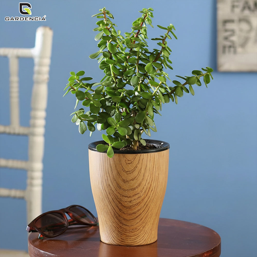 Cone Printed Self Watering Pot