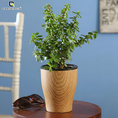 Cone Printed Self Watering Pot