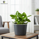 Gardencia Cube 6/12" Self Watering Square Pot