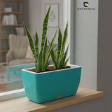 GARDENCIA Recta Self Watering Rectangle 100% Virgin Plastic Pots for Plants | Modern Design | Indoor and Outdoor Flower Pot for Home/Office/Table/Garden/Balcony Decoration | 14 inch