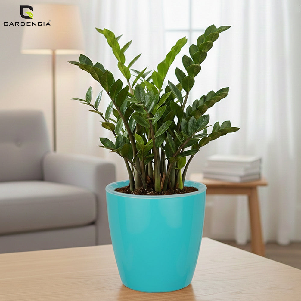 Vistara Self Watering Pot