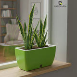GARDENCIA Recta Self Watering Rectangle 100% Virgin Plastic Pots for Plants | Modern Design | Indoor and Outdoor Flower Pot for Home/Office/Table/Garden/Balcony Decoration | 14 inch