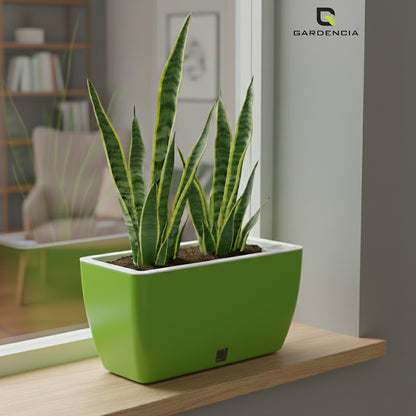 GARDENCIA Recta Self Watering Rectangle 100% Virgin Plastic Pots for Plants | Modern Design | Indoor and Outdoor Flower Pot for Home/Office/Table/Garden/Balcony Decoration | 14 inch